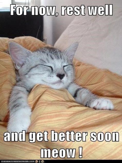40 Funny Get Well Soon Memes To Cheer Up Your Dear One Cute Memes