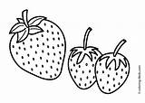 Coloring Fruit Pages Strawberry Simple Kids Printable 4kids Fruits Strawberries Three sketch template