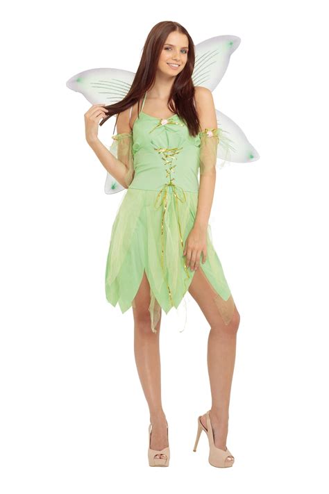 Fairy Costume Adult Womens Costume 5051090017046 Ebay