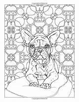 Frenchie Bulldogs sketch template