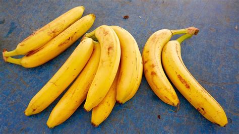 Bananas Could Be Heading For Extinction