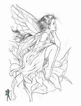 Coloring Pages Fairy Fairies Drawings Mermaid Para Enchanted Hadas Adult Adults Designs Sheets Printable Books Various Colorear Woodland Kids Realistic sketch template