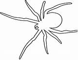 Spider Redback Designlooter sketch template