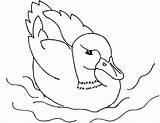 Duck Pages Kolorowanki Kaczka Kaczki Mallard Dla Pobrania Sheets Wydruku 2550 Adult Dxf sketch template