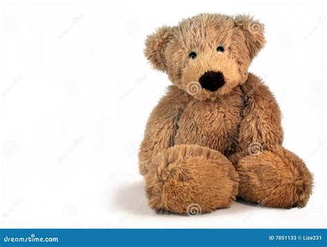 sweet teddybear stock image image  full isolated length