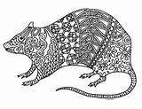 Rat Coloring Year Chinese Zentangle Detailed Preview sketch template