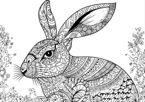realistic rabbit  pretty patterns rabbits adult coloring pages