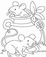 Coloring Pages Mouse Mice Two Colouring Cheese Template Getcolorings Printable Auswählen Pinnwand Rat Amp sketch template