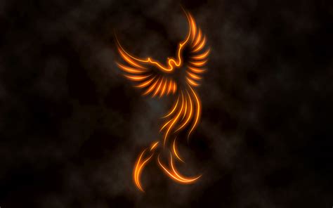 fire phoenix oboi  fon  id wallpaper abyss