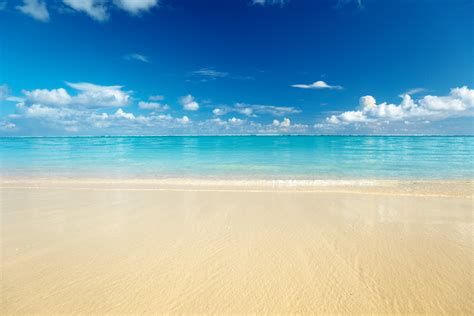 sand  beach caribbean sea hd wallpapers hd images hd pictures