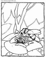 Bees Getdrawings Coloringhome sketch template