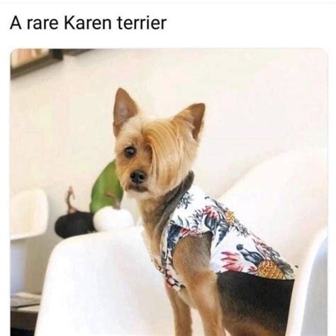 On Instagram “ Karen Wants To Speak
