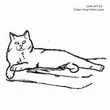 Cat Manx Longhaired Line Own Color Coloring Drawings sketch template