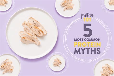 The 5 Most Common Protein Myths Kitchn