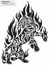 Tribal Tiger Tattoo Tattoos Animal Designs Drawings Fire Flame Animals Coloring Stencils Cliparts Clipart Deviantart Clipartbest Tatoo Pages Feline Cool sketch template