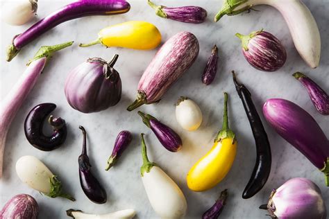 eggplant varieties   epicurious