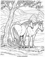 Horse Coloring Pages Horses Pasture Choose Board Color Colouring sketch template