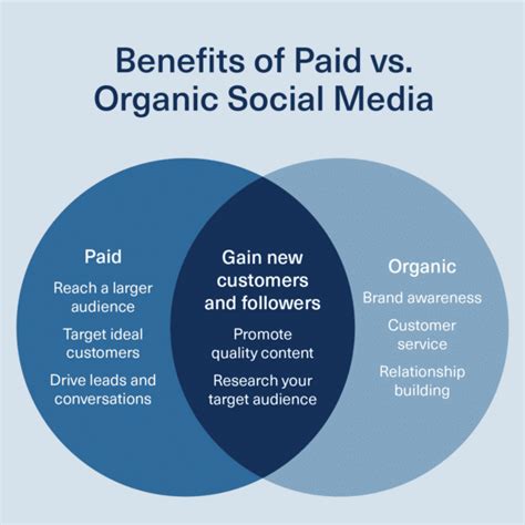 Paid Vs Organic Social Media How To Integrate Both Into Your Strategy