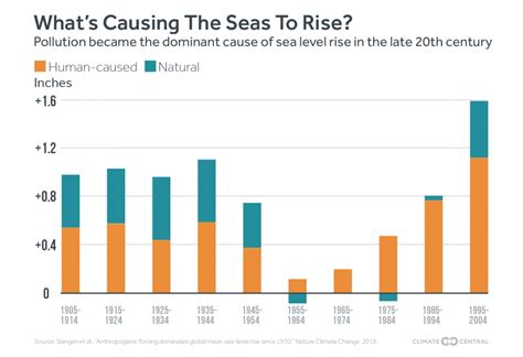 carbon pollution   key driver  sea level rise climate central