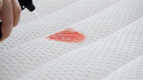 clean mattress stains  sleeping guide