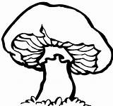 Clipart Mushroom Clip Library sketch template
