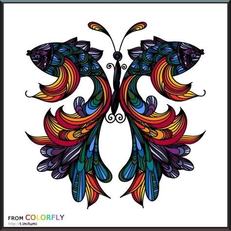 coloring colorfly color fly color colorfy