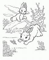 Rabbits Playing Coloringhome sketch template