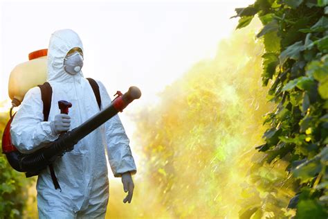 newly released state data spurs concern  pesticide  california health report