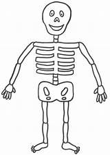 Skeleton Coloring Kids Printable Pages Cliparts Thingkid Favorites Add sketch template