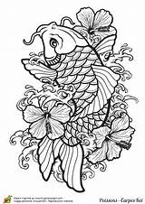 Carpe Koi Coloriage Poisson Hugolescargot Dessin Coloriages Japonais Imprimer Escargot Mandala Coy Visiter Chinois Koï Japonaise sketch template