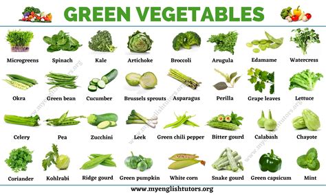 green vegetables list   types  vegetables   green color
