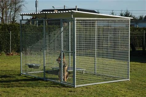 outdoor dog kennel reviews  top care  dogs