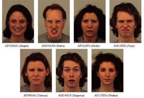 Exemplos De Imagens De Faces Do Kdef Download Scientific Diagram