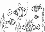 Coloring Walleye Getdrawings Fish sketch template