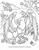 Coloring Pages Griffin Mystical Creatures Baby Printable Dragon Mythical Color Deviantart Kids Unicorn Animal Adult Mermaid Coloriage Book Print Fantastical sketch template