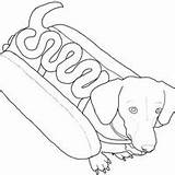 Cachorro Quente Weenie Basset Weiner Bobby Hounds Tudodesenhos Dachsunds sketch template