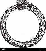 Snake Ouroboros Eating Symbol Its Own Eternity Tail Infinity Vector Alamy Shopping Cart sketch template
