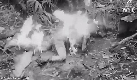 wwii footage shows australian troops attacking japanese soldiers with a