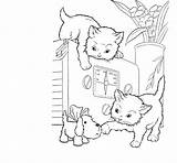 Coloring Pages Baby Cat Animal Cute Cats Diposting Komentar Oleh Admin Di Popular sketch template