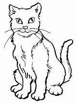 Katzen Katze Ausmalen Malvorlagen Ausdrucken sketch template