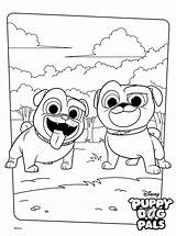 Bingo Rolly Coloring Pals Puppy Dog Pages Disney Fun Kids sketch template