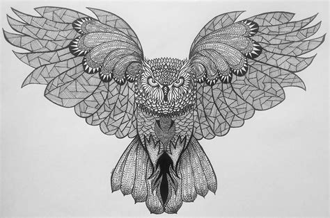 owl zentangle art zentangle art art zentangle