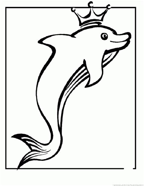 dolphin coloring pages part