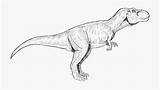Jurassic Dinosaur Tyrannosaurus Indominus Clipartkey Trex Dinosaurs Pngkey Indoraptor Pngitem Dinosuar sketch template