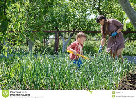 small boy helping  mother   garden stock image