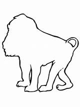 Coloring Baboon Outline Clipartbest Super Clipart sketch template