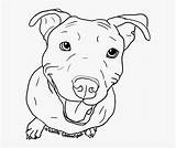 Terrier Pit Pitbulls sketch template