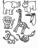 Coloring Pages Animals Rainforest Jungle Printable Library Clipart sketch template