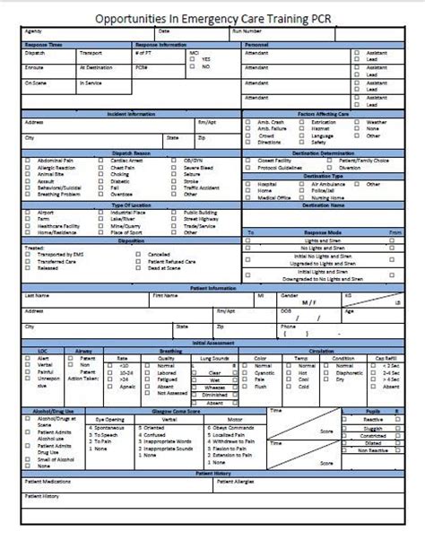 16 Best Images About Ems Paperwork On Pinterest Plugs Assessment