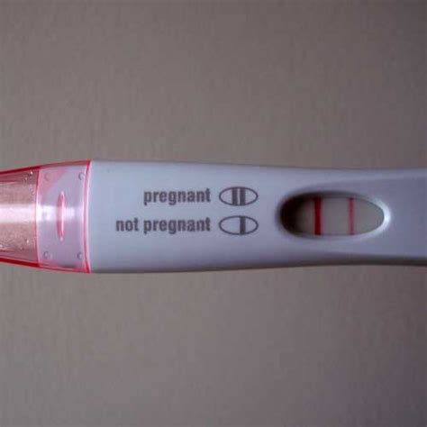 First Response Pregnancy Test False Positive Pregnancy Test